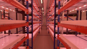 Highly Effective Floors