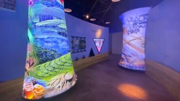 Zimbabwe Pavilion – Expo 2020