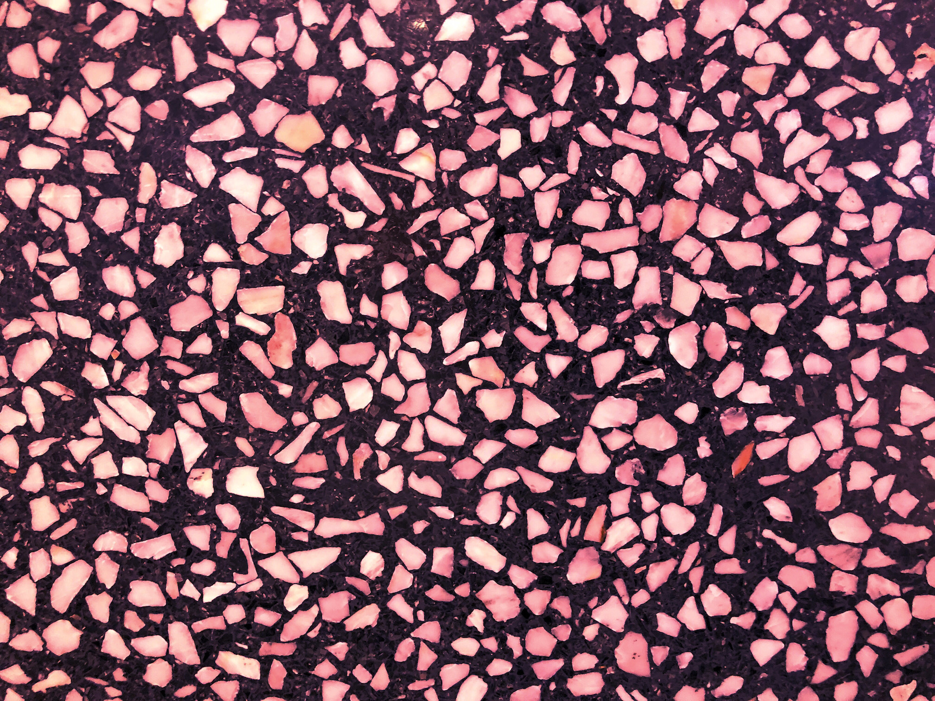 Terrazzo Flooring: Durable & Stylish Grace for Your Interiors | Duphill